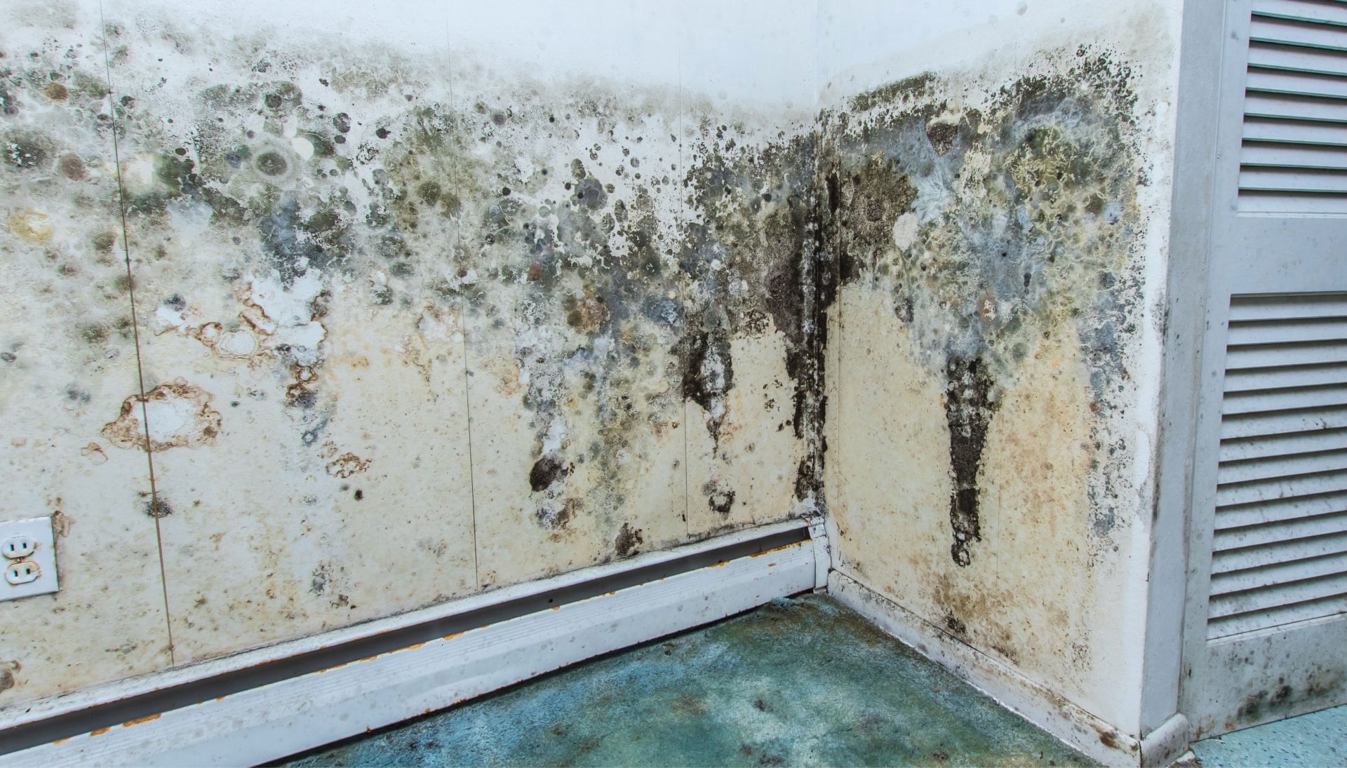 Professional mold removal, odor control, and water damage restoration service in Canton, Ohio.