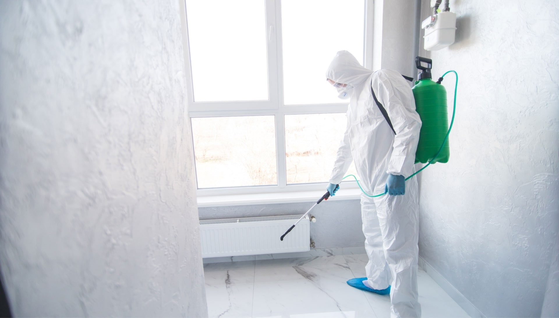 We provide the highest-quality mold inspection, testing, and removal services in the Canton, Ohio area.